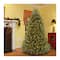 9 ft. Pre-Lit Dunhill® Fir Medium Profile Artificial Christmas Tree, Clear Lights